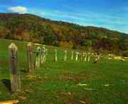 临江天气预报30天