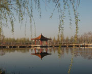 黑山天气预报60天