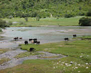 加查天气预报40天