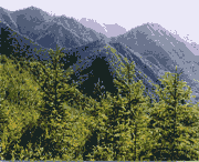 西和天气预报7天