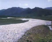 迭部天气预报40天