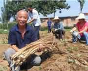 温县天气预报30天