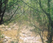 开化天气预报30天