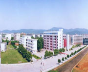 新余天气预报40天