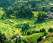 思南天气预报60天